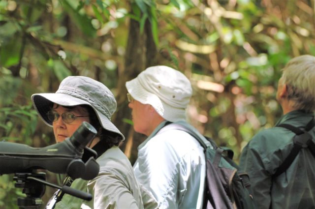 Birdwatching in Peru 10 Days