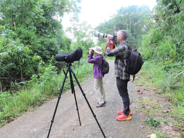 Best Birding Lodges in Peru_