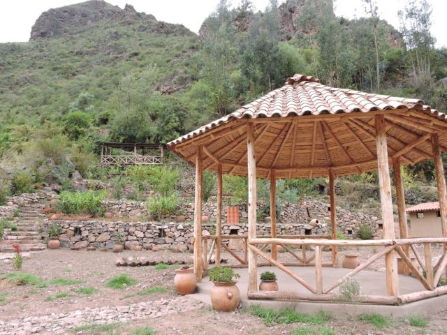Birding Near Cusco - morning Time