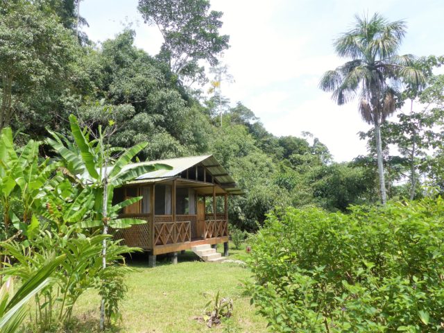 Best Birding Lodges in Peru - Best Birding Lodges