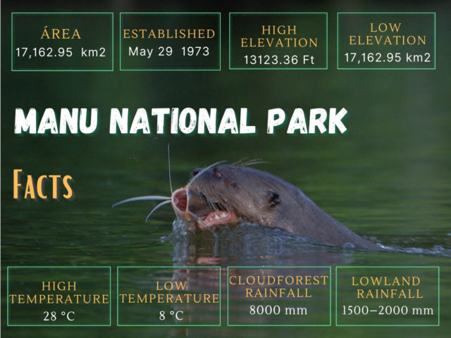 Manu National Park in Peru - A UNESCO World Heritage SiteLocated in the southeastern region of Peru, Manu National Park is one of the most biodiverse and protected areas on the planet. This UNESCO World Heritage Site is a must-visit destination for nature lovers, wildlife enthusiasts, and adventure seekers. About Manu National Park Manu National Park is situated in the Amazon rainforest, covering an area of over 1.7 million hectares. The park is home to an incredible array of flora and fauna, including over 1,000 species of birds, 1,200 species of butterflies, and 200 species of mammals. Wildlife and Biodiversity Manu National Park is a wildlife enthusiast's paradise. The park is home to iconic species such as the jaguar, puma, and spectacled bear. Visitors can also spot a variety of bird species, including macaws, parrots, and toucans. Indigenous Communities Manu National Park is also home to several indigenous communities, including the Matsiguenka and the Amarakaeri. These communities have lived in harmony with the forest for centuries, and visitors can learn about their traditional way of life and culture. Tourism and Conservation Manu National Park is a protected area, and tourism is carefully managed to ensure the conservation of the park's natural resources. Visitors can explore the park with licensed guides and tour operators, who provide a safe and responsible tourism experience. Things to Do in Manu National Park Visitors to Manu National Park can enjoy a range of activities, including: - Wildlife spotting and birdwatching - Hiking and trekking through the forest - Visiting indigenous communities and learning about their culture - Staying in eco-lodges and experiencing the park's natural beauty Getting There Manu National Park is located in a remote area of Peru, and visitors typically fly into Lima and then take a domestic flight to Puerto Maldonado. From there, visitors can take a boat or bus to the park's entrance. 