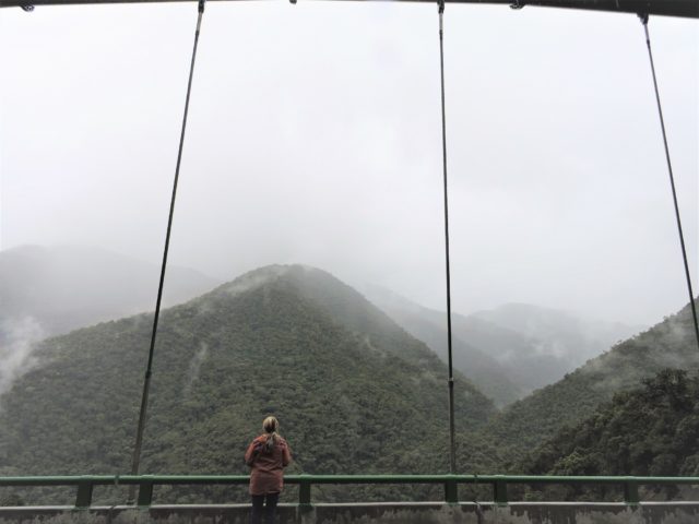 Visiting the Amazon rainforest can be a truly awe-inspiring and unforgettable experience. If you're visiting Peru and you're based in Cusco, the nearest Amazon Rainforest Park to explore is the Manu Biosphere Reserve. The Park is located approximately 280 kilometers from Cusco and is considered one of the planet's most biodiverse places. Manu Biosphere Reserve covers an area of 15,000 square kilometers and is home to over 1350 species of birds, 1300 species of butterflies, and mammals such as jaguars, tapirs, capybaras, and giant otters, as well as some of the most unusual amphibians and reptiles. Within the park, visitors can explore a variety of ecosystems ranging from moist tropical forests, tropical savannas, and cloud forests, to wetlands and paramos of the Andes. Trekking and expeditions throughout Manu are available with experienced guides, giving visitors an up-close look at the incredible biodiversity of the reserve. A visit to the Manu Biosphere Reserve is truly an unforgettable experience and is highly recommended for lovers of wildlife and nature.