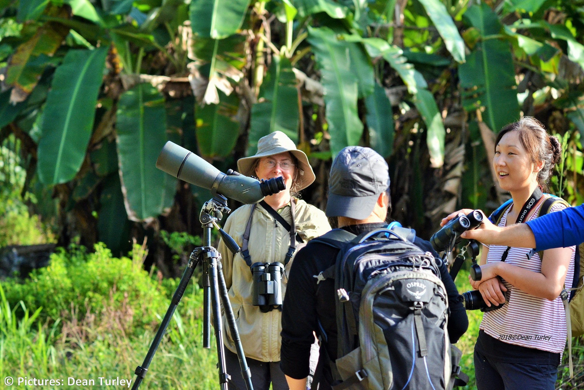 Tourist travelling along the manu park