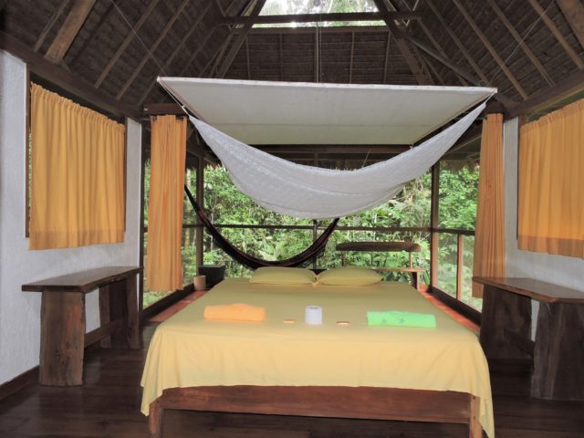 Tambopata Rainforest Tour