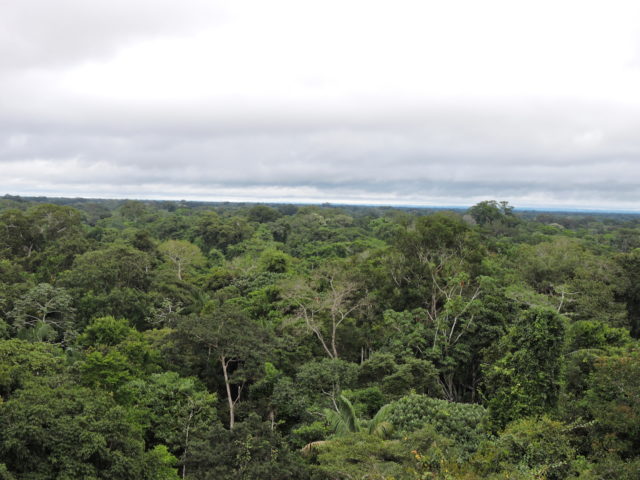 Peru Travel HighlightsWelcome to "Peru Travel Highlights & Destinations 2025," your ultimate gateway to exploring the mesmerizing wonders of Peru! As you embark on this extraordinary journey, allow us to guide you through the captivating landscapes, rich cultural heritage, and unforgettable experiences that await in this South American gem. Whether you're an adventurer, a history enthusiast, or a nature lover, Peru offers a kaleidoscope of attractions that promise to enchant and inspire.Prepare to step back in time as you wander through the ancient ruins of Machu Picchu, a UNESCO World Heritage site and one of the New Seven Wonders of the World. Marvel at the intricate stone architecture and imagine the lives of the Inca civilization that once thrived in this breathtaking mountaintop sanctuary. Delve deeper into Incan history with visits to the Sacred Valley and the enigmatic city of Cusco, where traditions and history come alive. Immerse yourself in the vibrant culture of Peru's bustling cities and quaint villages, each offering unique flavors, colors, and sounds. Savor the delicious and diverse cuisine, renowned as one of the world's finest, and indulge in the authentic, heartwarming hospitality of the Peruvian people. For nature enthusiasts, Peru boasts spectacular biodiversity, from the lush Amazon rainforest to the arid yet awe-inspiring landscapes of the Nazca Desert. Navigate the serene waters of Lake Titicaca, the highest navigable lake in the world, and explore the unique floating islands of the Uros people. Our 2025 guide is designed to provide you with all the information you need to plan your perfect Peruvian adventure. Discover exclusive travel tips, must-see highlights, and hidden gems that will enrich your journey. Join us as we uncover the limitless possibilities of travel in Peru, making 2025 a year of unforgettable memories and unparalleled exploration. Embark on your Peruvian odyssey with "Peru Travel Highlights & Destinations 2025" and let us be your trusted companion on this extraordinary expedition. Whether you're traveling solo, with family, or seeking an eco-friendly adventure, Peru promises an experience like no other. Welcome to a land where history, culture, and nature converge in perfect harmony – welcome to Peru!