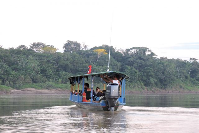 birdwatching in peru 10 days