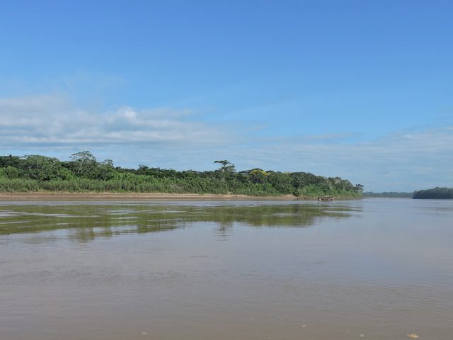 Jungle Bliss: 3-Day Tambopata Tour