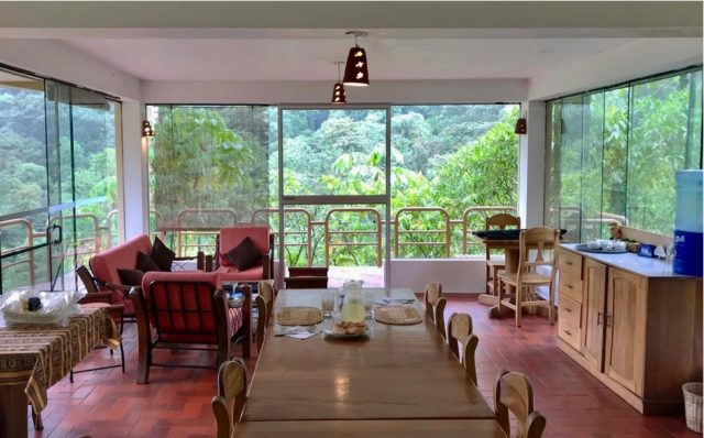 birdwatching in peru 10 days