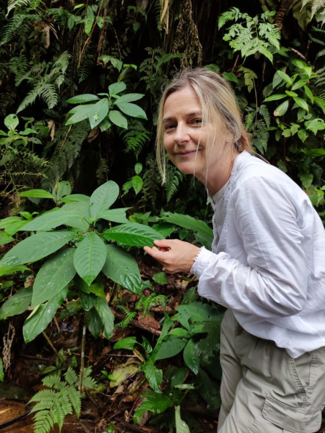 Peru Amazon Eco Lodge