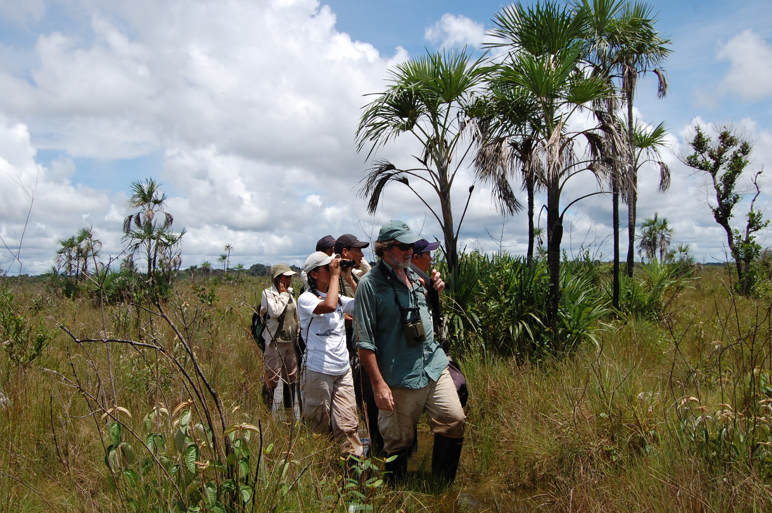 wild watch peru timeline -our story (3) https://wwp.codigosimpleweb.com/wp-content/uploads/2023/02/wild-watch-peru-timeline-our-story-3-scaled.jpg