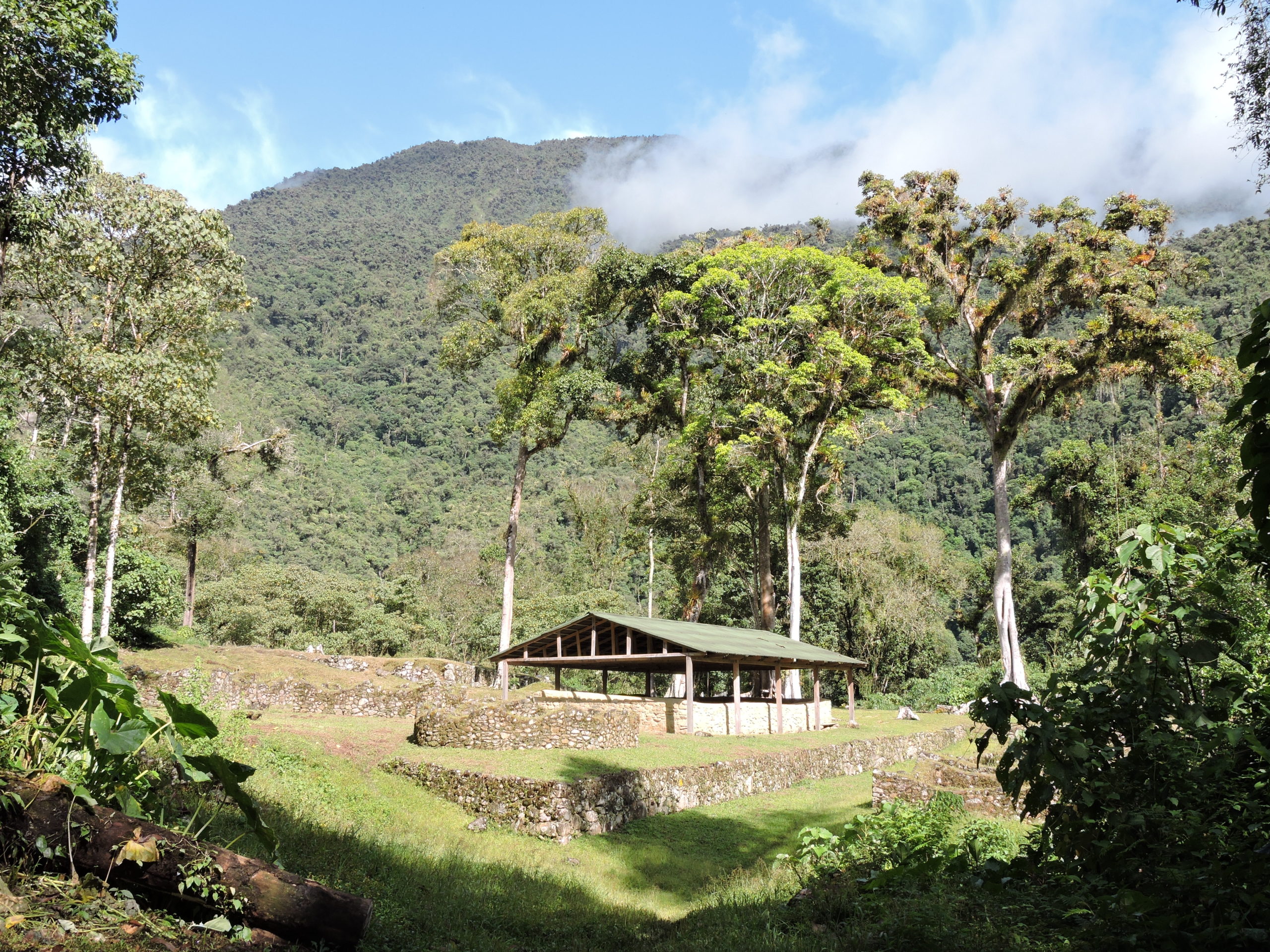 wild watch peru timeline -our story (8) https://wwp.codigosimpleweb.com/wp-content/uploads/2023/02/wild-watch-peru-timeline-our-story-8-scaled.jpg