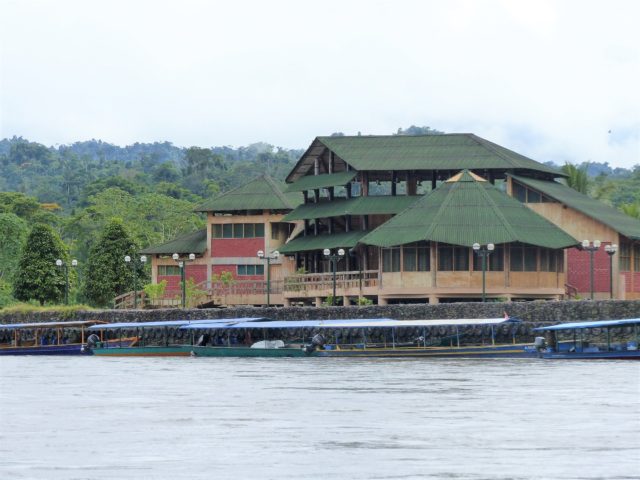 peruvian amazon rainforest in shorter time and best price-Explore Peru's most biodiverse parks in short Time & Budget