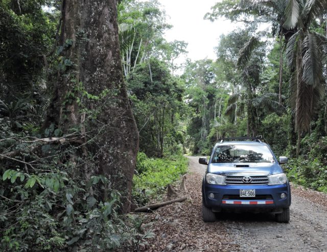 peruvian amazon rainforest in shorter time and best price - Explore Peru's most biodiverse parks in short Time & Budget