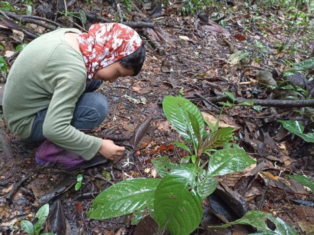 Top 10 things to do in Manu with Kids