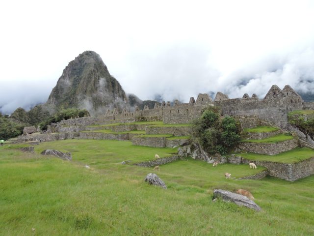 Machu Picchu Elevation