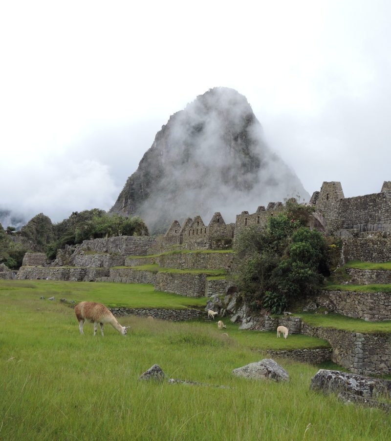 Beyond Machu Picchu: Uncovering Incan Secrets in 4 Days