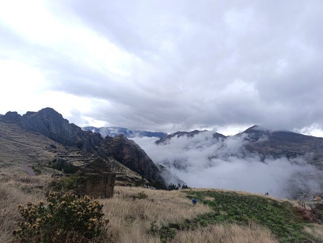 Peru's Manu Road is renowned among birders for its staggering avian diversity, and I was thrilled to share this experience with two fellow birding enthusiasts from the States. Our recent 2-day adventure along this legendary route proved that, with the right combination of expert guidance, optimal timing, and a dash of luck, it's entirely possible to spot over 100 bird species in Cusco, Peru. In this blog post, I'll share the highlights of our trip and provide insider tips on how to maximize your birding experience in this incredible region.