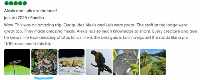 Trip advisor recommendation 