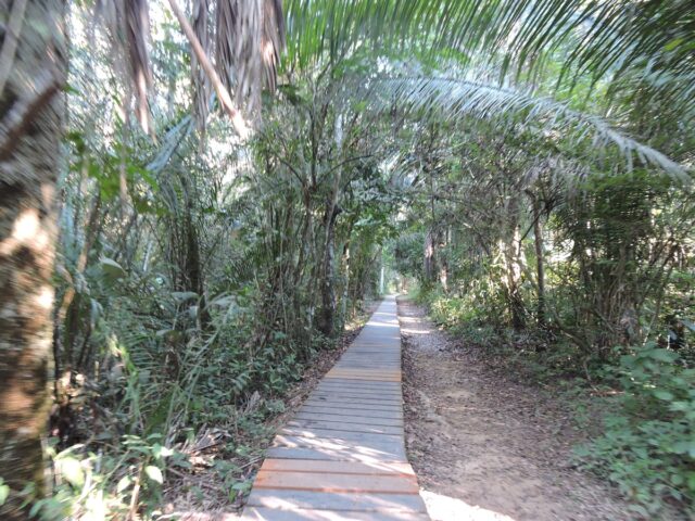 Sandoval Lake in Tambopata