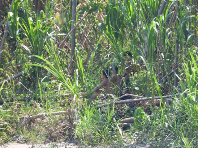 Manu Travel Advisory 2025: Respecting the Mashco-Piro Tribe